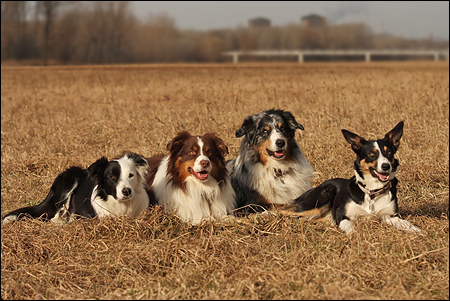 alias �ffchen, Schnitzel & Lollie