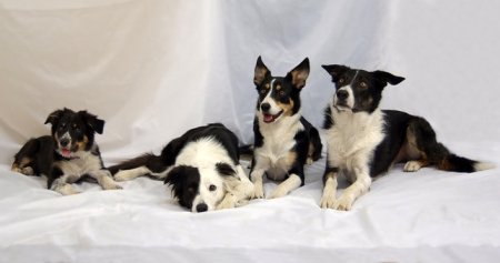 Bungee-Borders Ellen + Caya und Lightspeed Baris