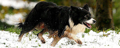 (c) Magdalena Michalska